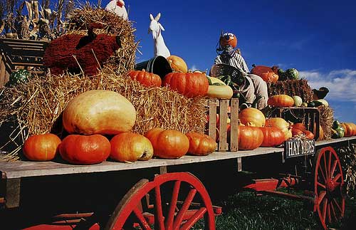 hay-ride-resize