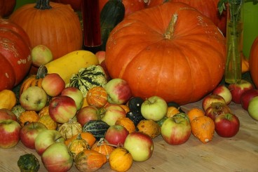 pumpkin-and-apples