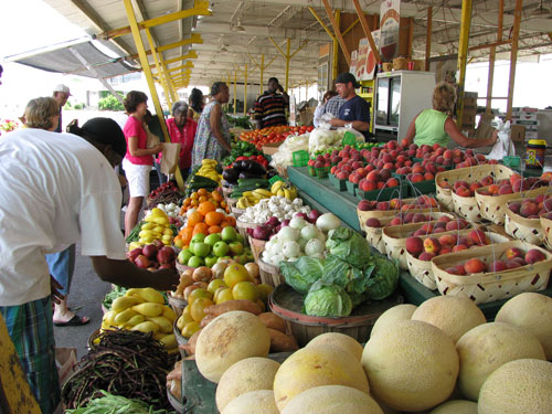 farmers-market-resize