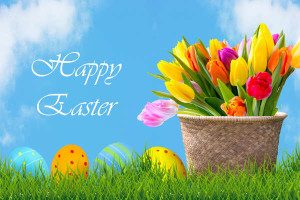 easter-eggs-and-flowers-background-final