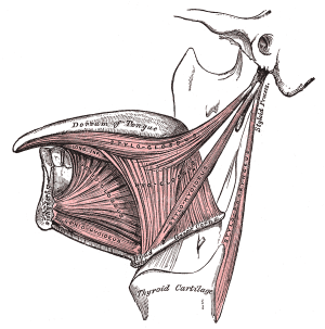 lateral-tongue