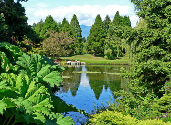 daytime at Vandusen Botanical Gardens, overlooking a lake and gorgeous scenery