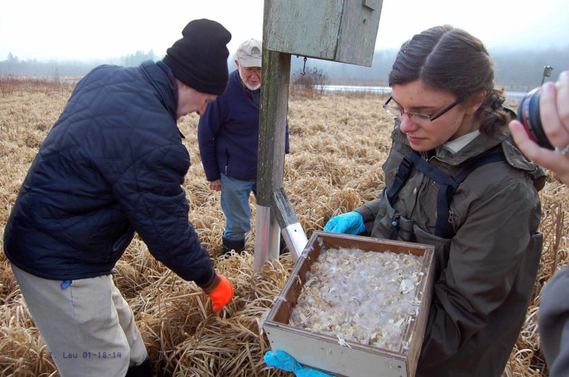 Nest Box Program in Burnaby