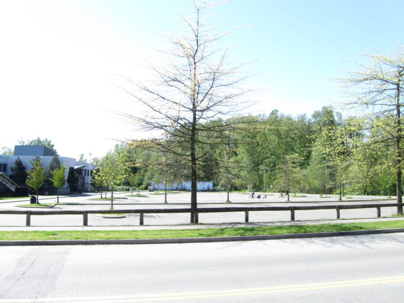 Clayton Heights Secondary Tree Chipping and Bottle Drive in Surrey