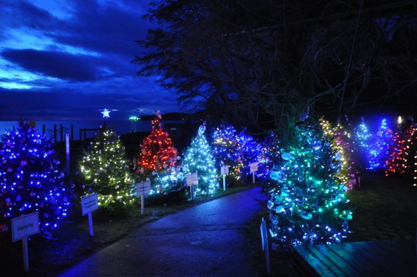 World Christmas in West Vancouver