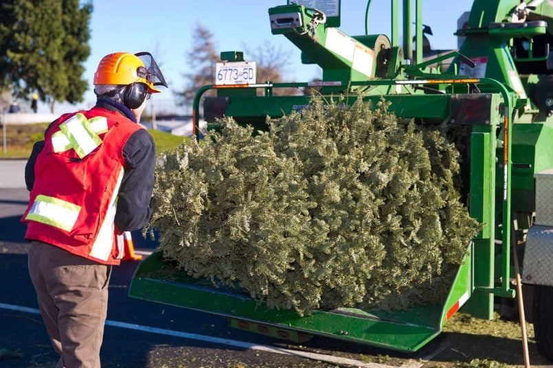 1st West Vancouver Scouts Christmas Tree Chip-Up in West Vancouver