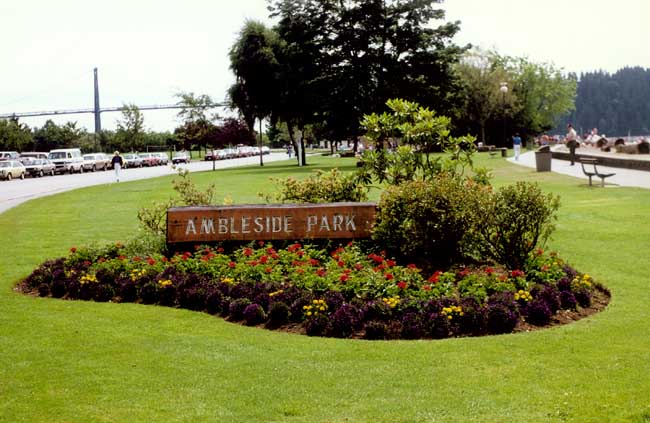 Community Day at Ambleside Park West Vancouver in West Vancouver