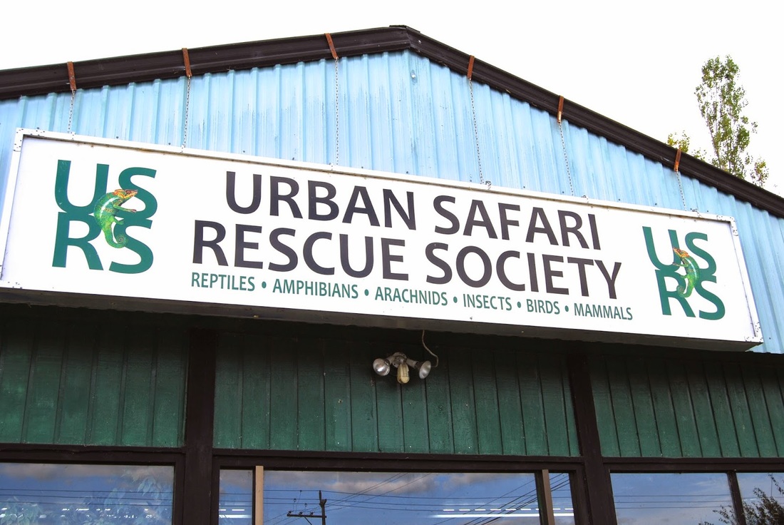 urban safari animal rescue