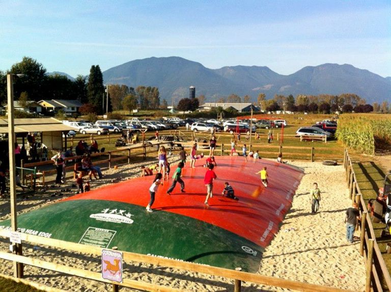 Chilliwack Corn Maze in Chilliwack