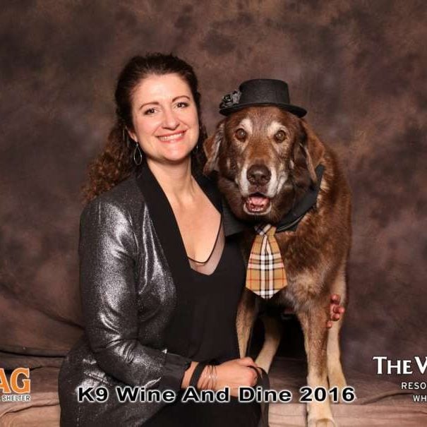 K9 Wine and Dine in Whistler