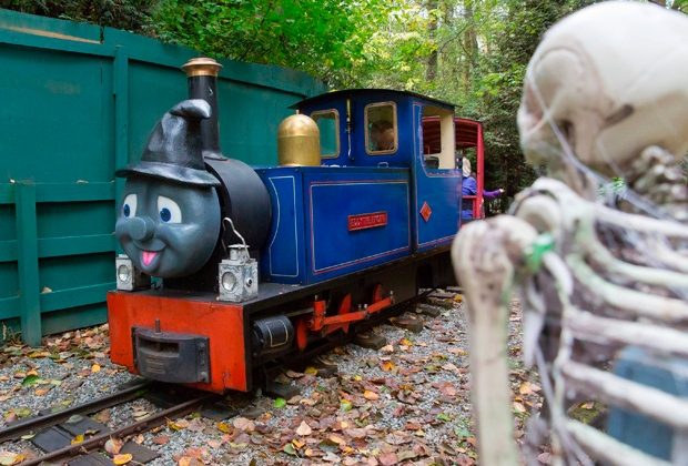 Pumpkin Express in Surrey