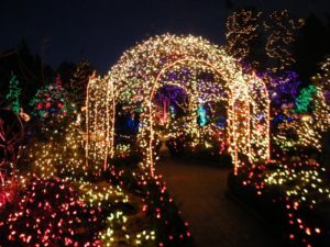 VanDusen Festival of Lights