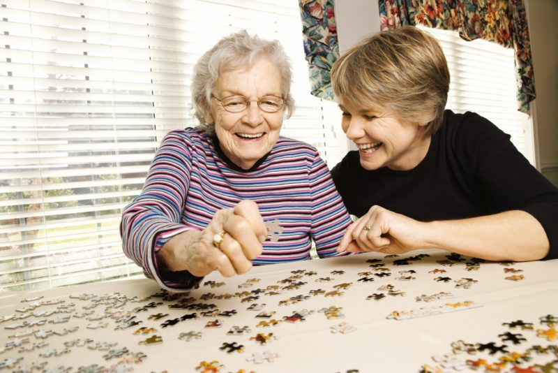 Friends of the Chilliwack Libraries Society Annual Puzzle Sale