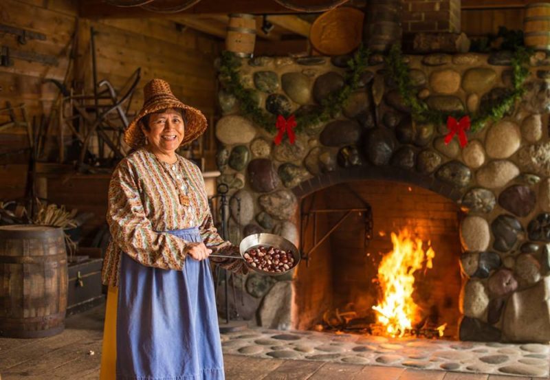 Christmas Drive-Thru Tours in Pickering