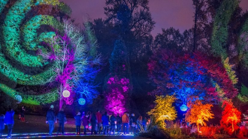 Bear Creek Lights in Surrey