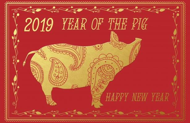 Celebrate Chinese New Year 2019 in Langley