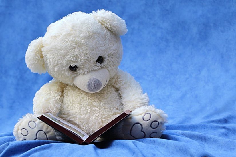 Stuffie Sleepover 2019 in Port Coquitlam