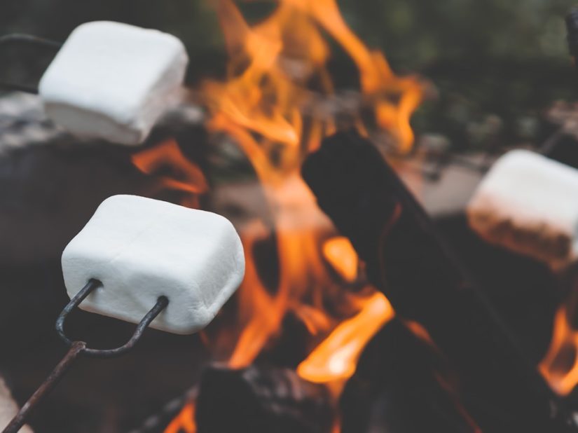 Tynehead Forest Walk and Campfire 2019 in Surrey