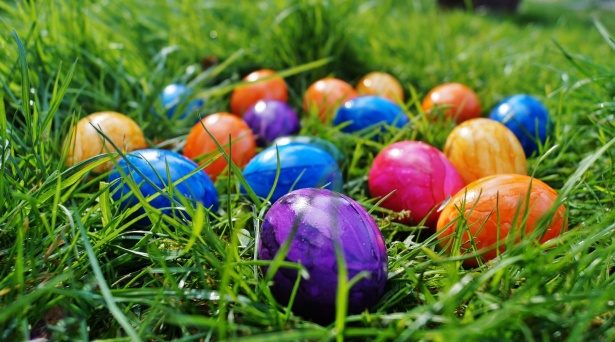 Burnaby Family Easter Egg Hunt 2019 in Burnaby