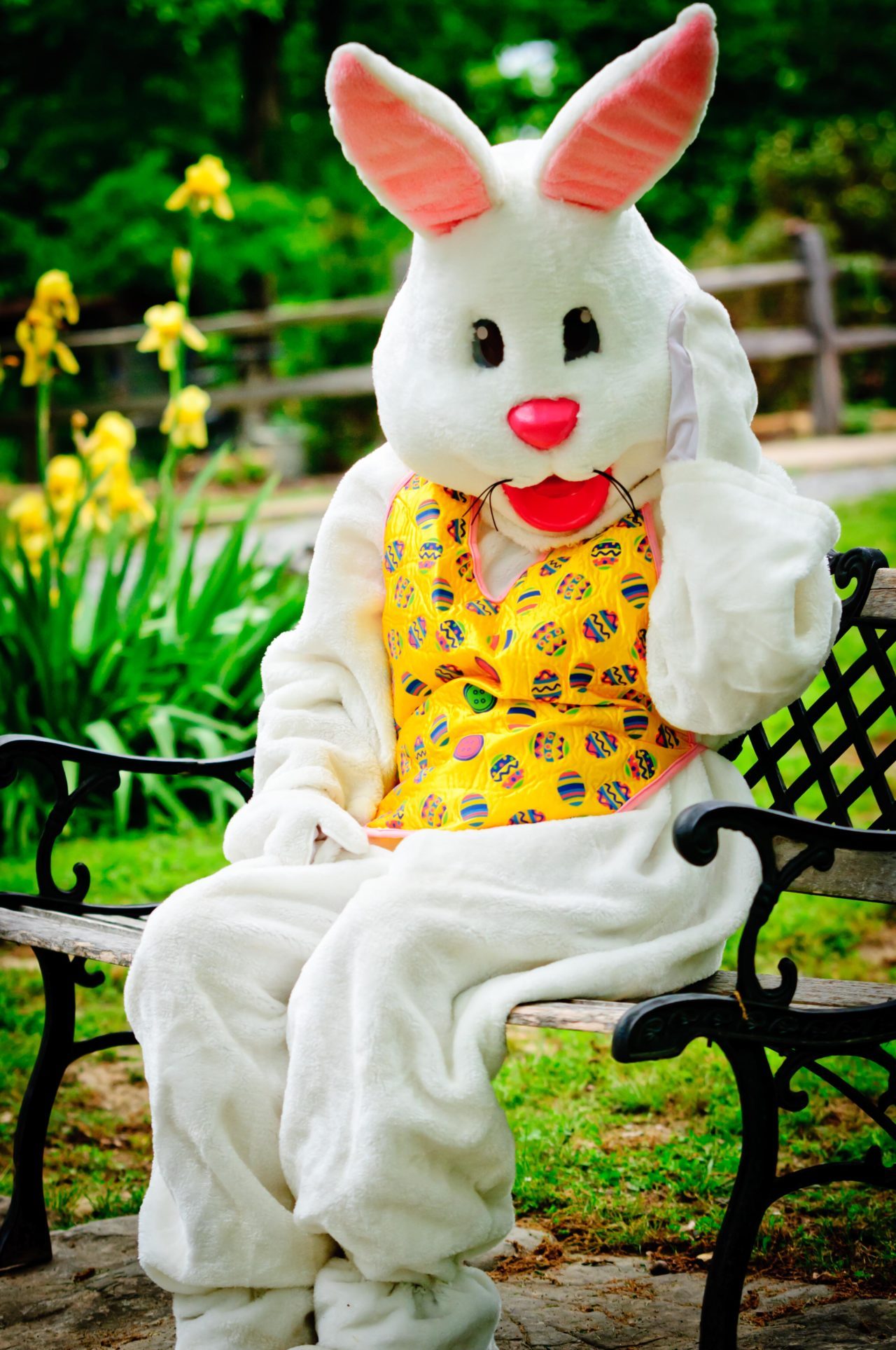 Easter bunny skate 2019 123dentist
