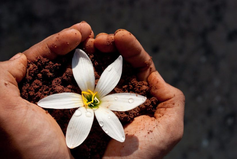 Maple Ridge Earth Day 2019 in Maple Ridge