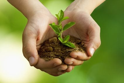 17th Annual Community Arbour Day in Chilliwack
