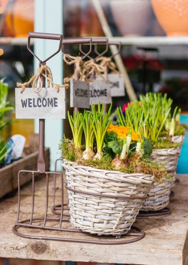 Fall for Local Spring Market 2019 in North Vancouver