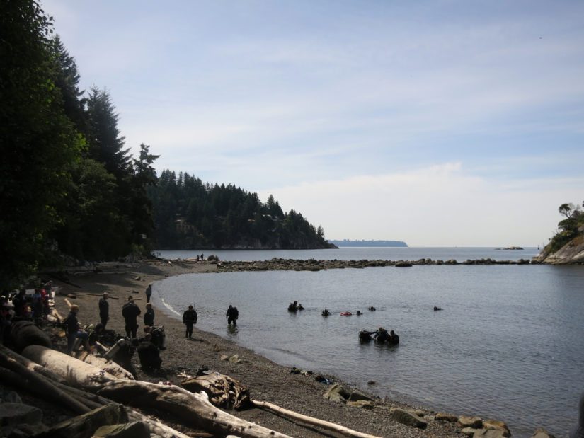 Community Shoreline Cleanup 2019 in West Vancouver