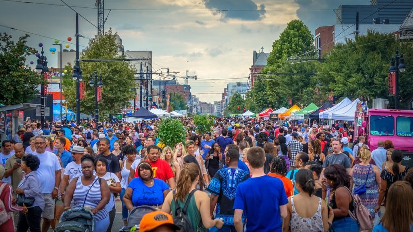 It’s Your Festival in Hamilton