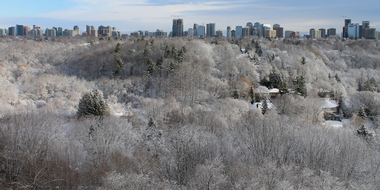 North York winter scene