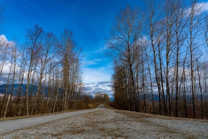 Public Works Open House in Port Coquitlam