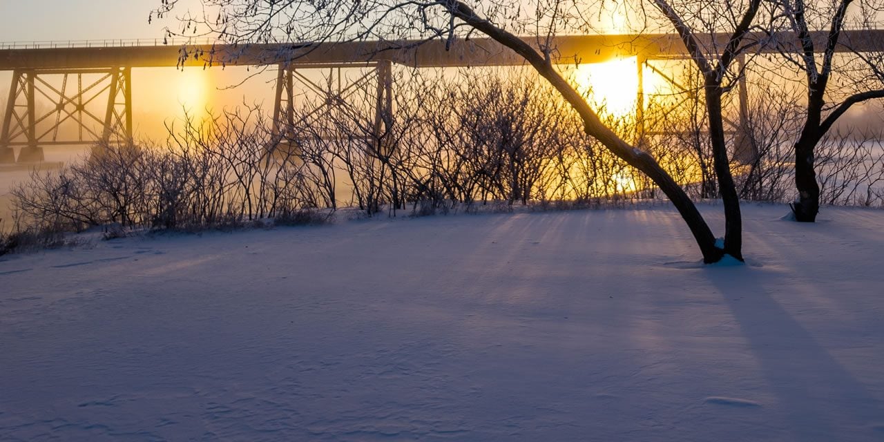 Trenton in the winter