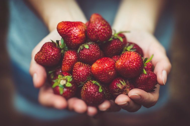 Strawberry Folk Fest in Stoney Creek