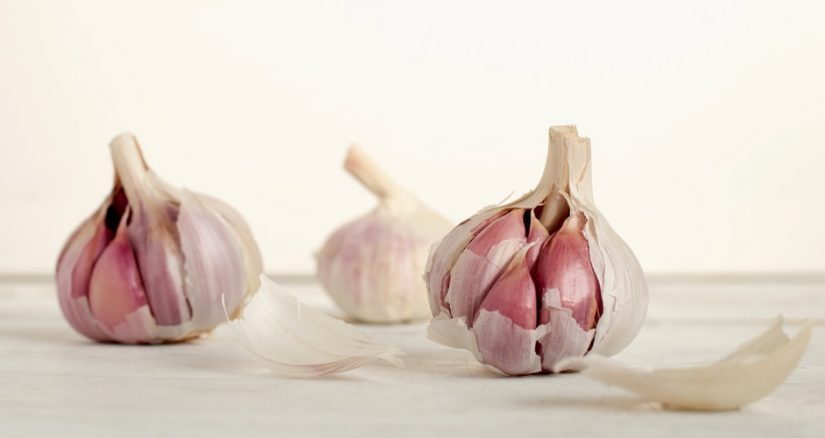 Garlic Fest in Richmond