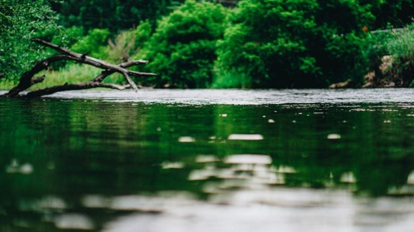 World Rivers Day in Burnaby