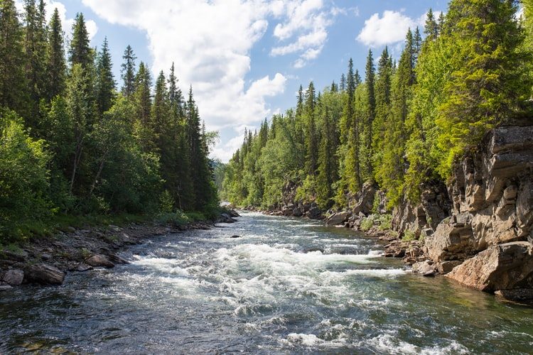 Rivers and Trails Festival in Port Coquitlam