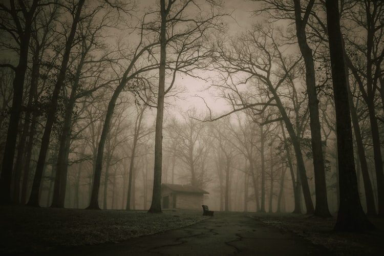 Haunted Ghost Drive-Thru Tour in Pickering