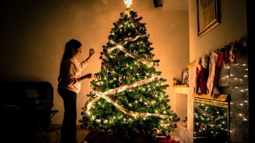 Festival of Trees in Red Deer