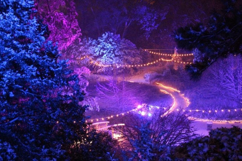 Winter Lights at the Rock in Stoney Creek