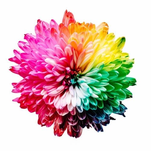 The Colour Concert in Kelowna