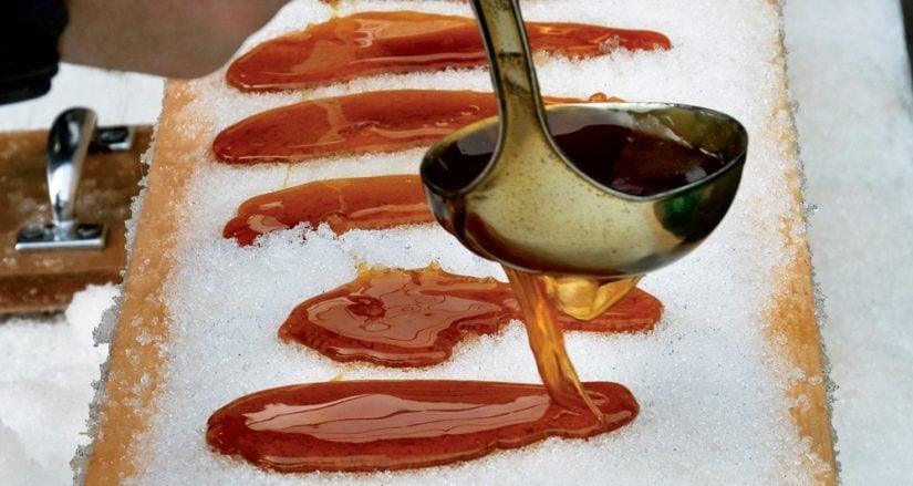 Westfield Maple Syrup Festival in Hamilton