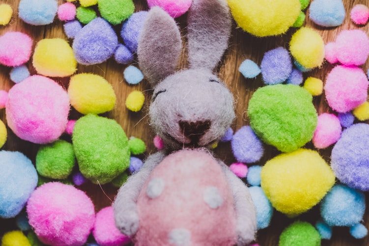 Free Easter Bunny Photos in Slave Lake