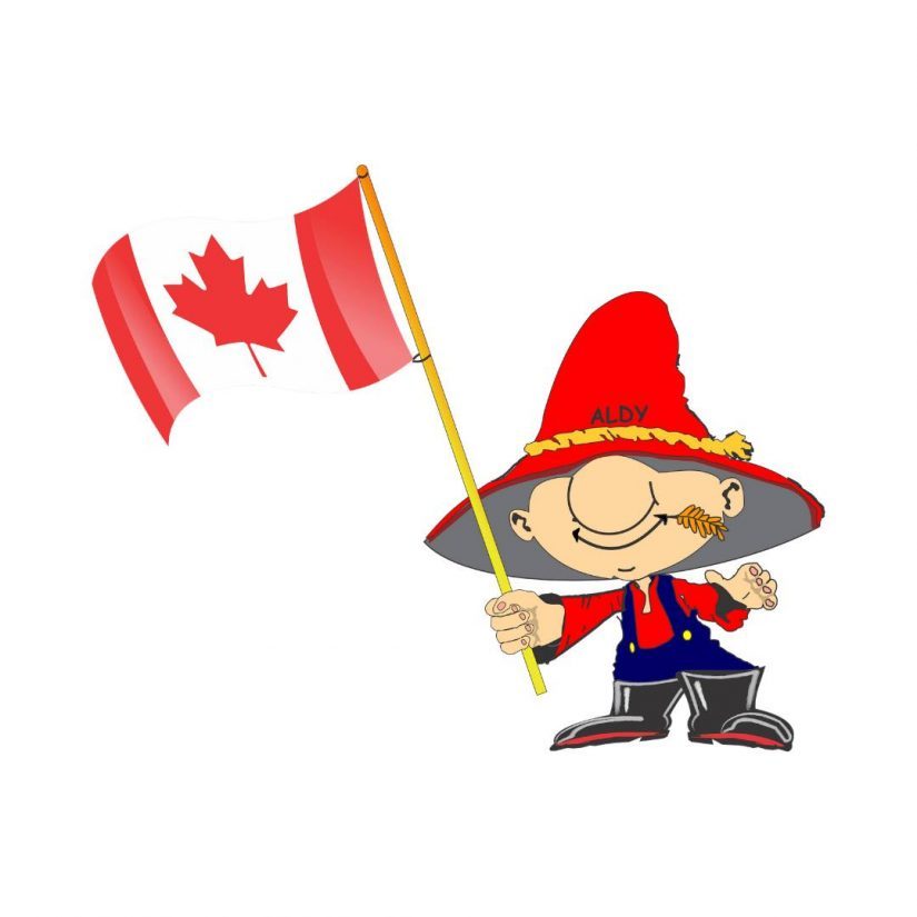 Let’s Paint the Town Red! in Aldergrove