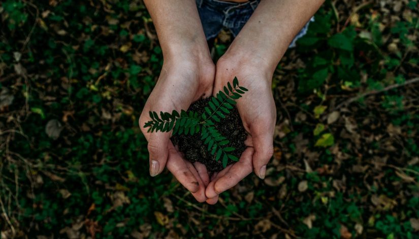 Virtual Zero Waste Festival in Calgary