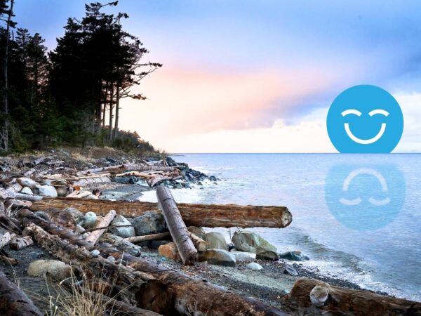 A calm beach scene with logs scattered on the shore, a serene sea, and a sunset sky. A large, blue smiling face is superimposed on the right side, reflecting in the water.