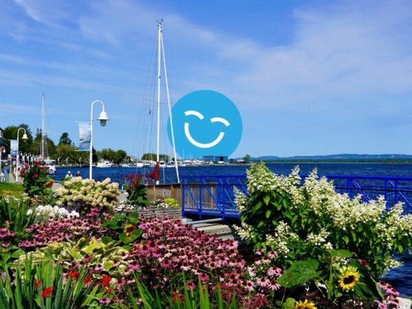 A vibrant waterfront scene featuring colorful flowers in the foreground, a calm blue lake, a sailing boat, and a clear sky.