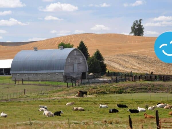 A rural landscape featuring a barn and grazing animals against a backdrop of rolling hills and a blue sky with scattered clouds.
