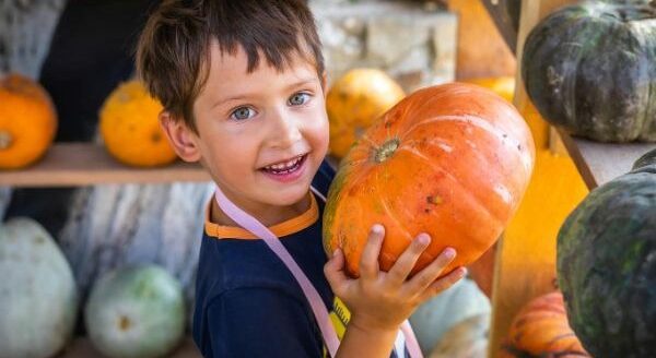 A cheerful child stands in a market, holding a large orange pumpkin. Behind him, various pumpkins in different colors and sizes are displayed. The child is smiling, wearing a playful apron, and enjoying the experience of selecting a pumpkin.