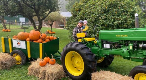 A green tractor pulls a trailer filled with orange pumpkins, surrounded by hay bales. In the background, trees and a farmhouse can be seen, set in a misty, autumn landscape. A child sits on the tractor, enjoying a farm setting.