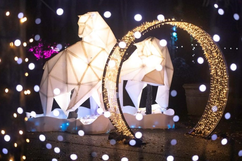 The image features illuminated, geometric-shaped lions standing beside a circular, glowing arch, surrounded by numerous sparkling lights, creating a whimsical and festive ambiance.